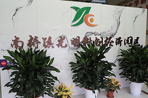 上海市奉贤区南桥镇光明科创经济园区