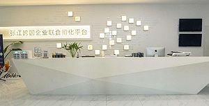 张江跨国企业联合孵化平台